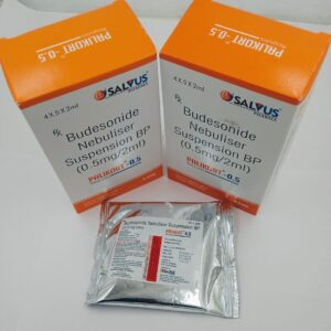 Palikort TR