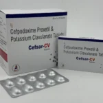 Cefsar-CV